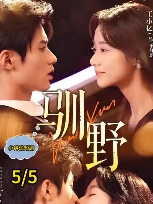 律政悬疑热播电视剧全集无声证词